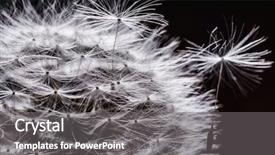  Presentation with connect dots abstract dark - PPT theme having close up with dark background background and a gray colored foreground