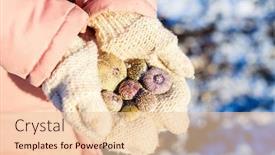  Presentation with sea shells - Beautiful PPT layouts featuring close-up backdrop and a lemonade colored foreground