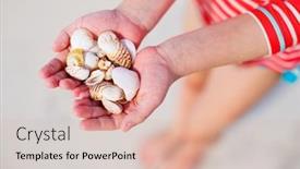  Presentation with sea shells - Audience pleasing PPT layouts consisting of close-up backdrop and a lemonade colored foreground