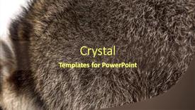  Presentation with natural - Amazing PPT theme having close-up backdrop and a tawny brown colored foreground