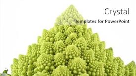  Presentation with cauliflower - Amazing slide set having close-ups of green cauliflower isolated on white backdrop and a white colored foreground