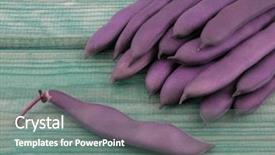  Presentation with purple green - Presentation theme consisting of  background and a  colored foreground