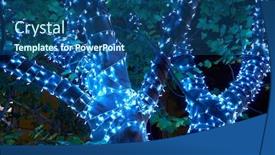  Presentation with illumination - Slide set featuring close-view-of-tree-illumination background and a ocean colored foreground