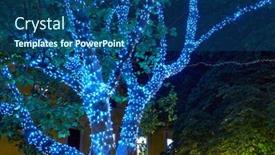  Presentation with illumination - Colorful presentation theme enhanced with close-view-of-tree-illumination backdrop and a ocean colored foreground