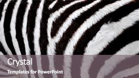  Presentation with skin - Colorful slides enhanced with close view on the skin backdrop and a gray colored foreground