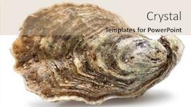  Presentation with food white - Slides featuring closed-raw-oyster-isolated background and a  colored foreground