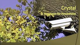  Presentation with seed and tree mustard - Theme consisting of closed tv circuit - tree that sees background and a tawny brown colored foreground