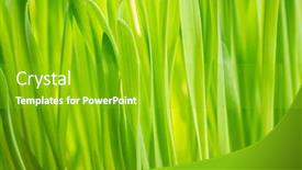  Presentation with abstract green - PPT layouts with closeup-abstract-of-fresh-green background and a shamrock green colored foreground