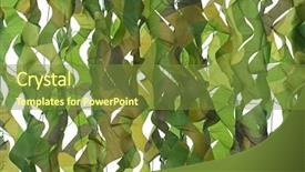  Presentation with closeup details of thai rice - Presentation theme having closeup camouflage pattern net background and a tawny brown colored foreground