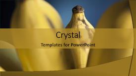  Presentation with banana - Colorful slide set enhanced with closeup-detail-of-a-ripe backdrop and a gold colored foreground