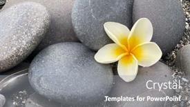  Presentation with frangipani flowers - Slides enhanced with closeup-frangipani-flowers-with-pile background and a gray colored foreground