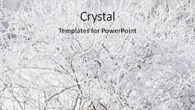  Presentation with winter road and branch - Presentation having closeup in winter forest abstract background and a light gray colored foreground