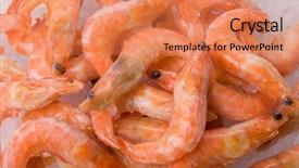  Presentation with shrimps - Slide deck consisting of closeup king shrimps on ice background and a  colored foreground