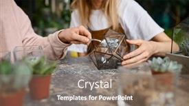  Presentation with succulent - PPT layouts featuring closeup-man-and-woman-florist background and a coral colored foreground