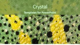  Presentation with skin - PPT theme with meller's chameleon skin background and a tawny brown colored foreground