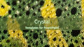  Presentation with human skin histology - Audience pleasing PPT theme consisting of meller's chameleon skin backdrop and a tawny brown colored foreground