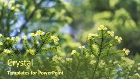  Presentation with blurred plants - PPT layouts having closeup-nature-view-of-green background and a tawny brown colored foreground