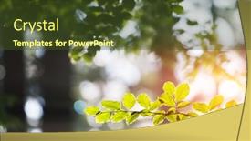 Presentation with blurred plants - PPT theme featuring closeup-nature-view-of-green background and a tawny brown colored foreground