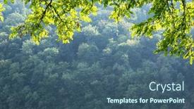  Presentation with blurred plants - Presentation theme enhanced with closeup-nature-view-of-green background and a ocean colored foreground