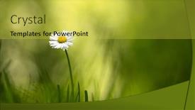  Presentation with spring nature grass - PPT theme with closeup-nature-view-of-green background and a yellow colored foreground
