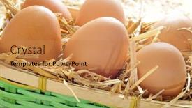  Presentation with straw - Slide set consisting of closeup of a basket with straw and a pile of brown eggs background and a coral colored foreground