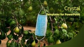  Presentation with surgical - Amazing presentation theme having closeup-of-a-blue-surgical backdrop and a tawny brown colored foreground