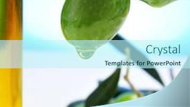  Presentation with olive tree - PPT theme having bottle of olive oil background and a cool aqua colored foreground