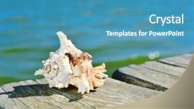  Presentation with wooden - Presentation theme featuring closeup of a conch on a weathered wooden pier over the sea background and a teal colored foreground