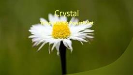  Presentation with ion - Presentation design having closeup-of-a-daisy-ion background and a tawny brown colored foreground