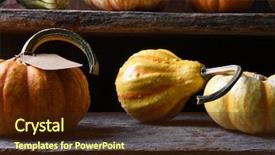  Presentation with leafy vegetables farm to table - Slide deck consisting of closeup of a farm stand background and a wine colored foreground