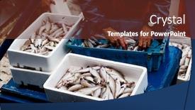  Presentation with fishing boat - Cool new slide set with closeup-of-a-fisherman backdrop and a tawny brown colored foreground