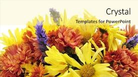  Presentation with gerbera daisies - Slide set with closeup of a flower arrangement with different flowers such as gerbera daisies and lavender background and a blonde colored foreground