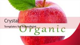 Presentation with gala - Colorful presentation theme enhanced with closeup of a gala apple backdrop and a red colored foreground