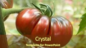  Presentation with heritage - Amazing slide deck having beautiful exotic young woman with braided hair backdrop and a soft green colored foreground