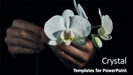  Presentation with beautiful orchid flowers - Presentation consisting of closeup-of-a-man-holding background and a black colored foreground