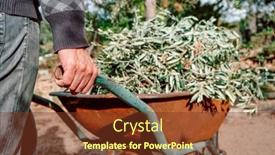  Presentation with olive orchard - PPT layouts with closeup-of-a-man-pushing background and a tawny brown colored foreground