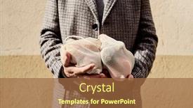  Presentation with bulk - PPT theme featuring closeup-of-a-man background and a tawny brown colored foreground