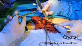  Presentation with suture - Amazing PPT theme having closeup of a medical team backdrop and a light blue colored foreground