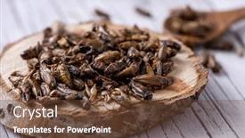  Presentation with onion - Cool new slide deck with pile of fried cricket backdrop and a tawny brown colored foreground