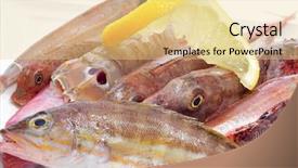  Presentation with fishes - Presentation theme featuring closeup of a pile of different raw fishes from the mediterranean sea on a white background background and a blonde colored foreground