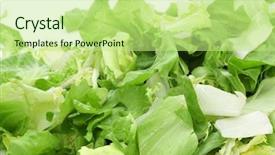  Presentation with salad - Cool new presentation with closeup of a pile of mesclun a mix of assorted salad leaves on a white background backdrop and a mint green colored foreground