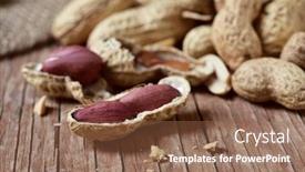  Presentation with shells - PPT theme enhanced with a pile of peanut background and a tawny brown colored foreground
