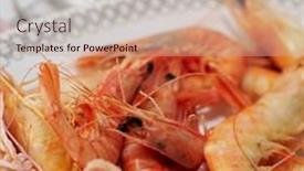  Presentation with shrimps - 