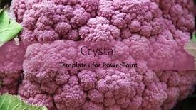  Presentation with cauliflower - Audience pleasing slides consisting of closeup-of-a-purple-cauliflower backdrop and a coral colored foreground