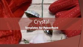  Presentation with holly - PPT theme having closeup of a santa hat a pair of cozy red gloves some twigs of pine tree and a twig of holly on a white rustic wooden surface background and a tawny brown colored foreground