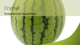  Presentation with vertical - Beautiful presentation theme featuring whole mini seedless watermelon backdrop and a yellow colored foreground