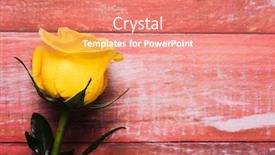  Presentation with yellow rose - PPT theme featuring closeup of a yellow rose on a red rustic wooden surface with some blank space on the right background and a coral colored foreground
