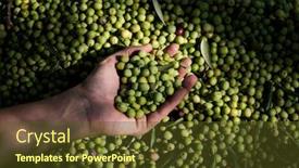  Presentation with olive grove - Amazing presentation theme having closeup-of-a-young-caucasian backdrop and a tawny brown colored foreground