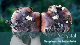  Presentation with knight - Cool new presentation with closeup-of-a-young-caucasian backdrop and a ocean colored foreground