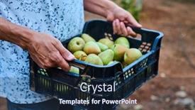  Presentation with orchard - Presentation theme enhanced with closeup-of-a-young-caucasian background and a navy blue colored foreground